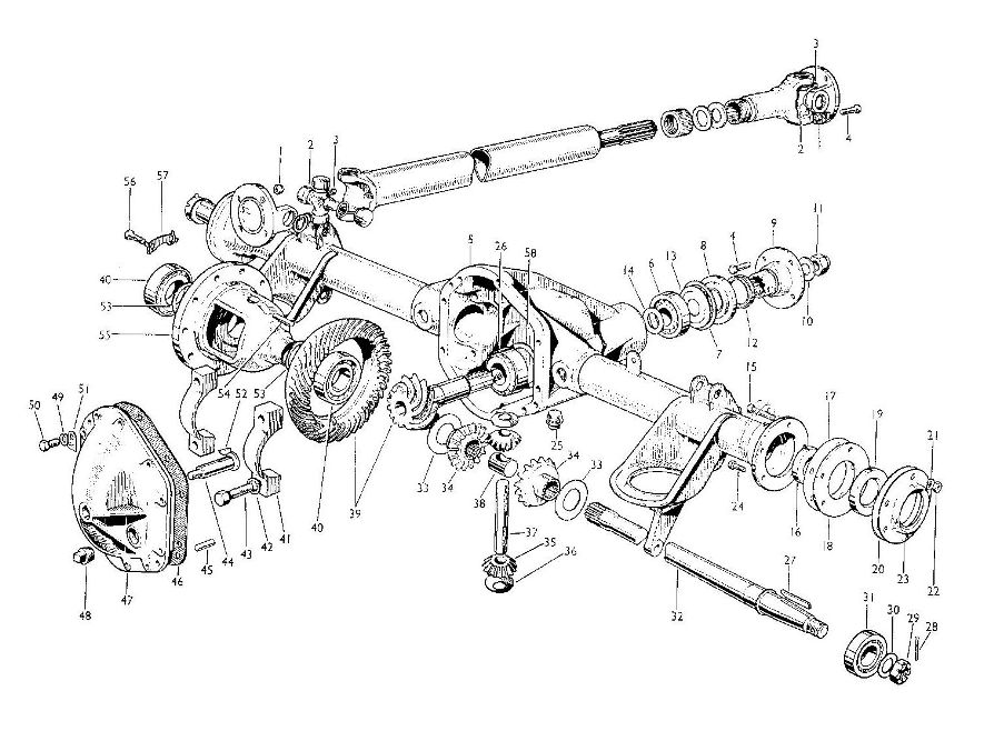 Rear Axle and Propeller Shaft